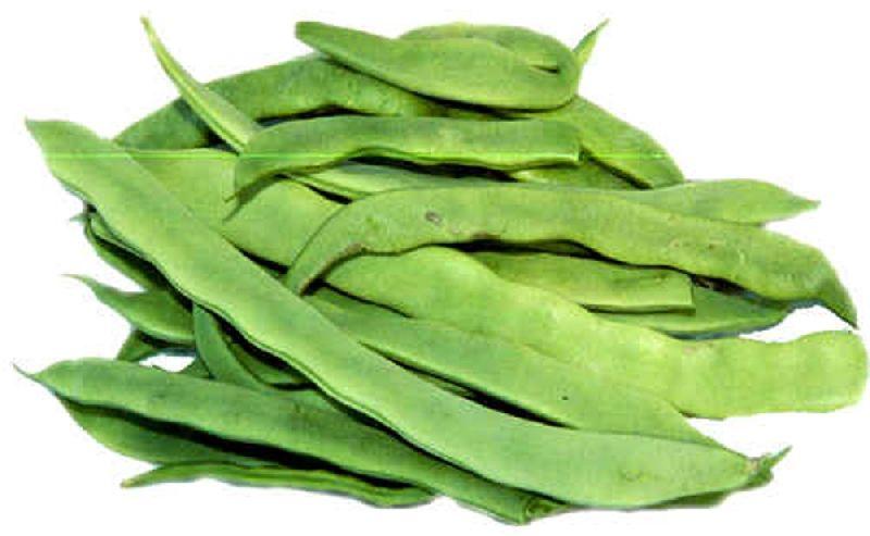 Fresh Flat Beans, Size : 9 To 10 Inch Long