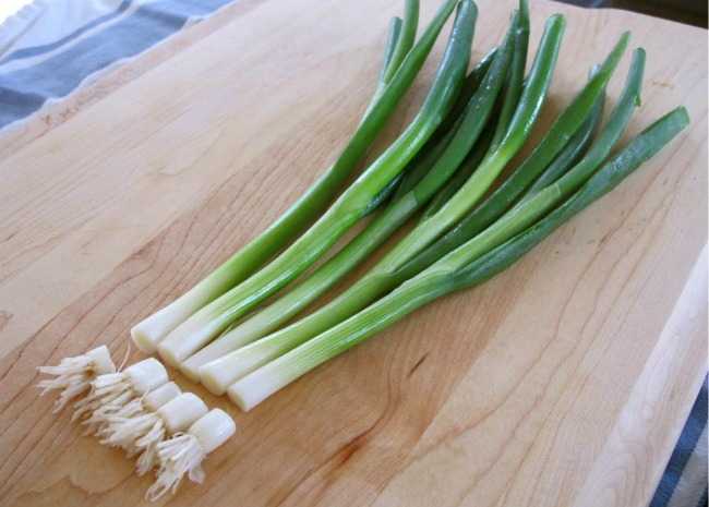 Fresh Green Onion, for Enhance The Flavour, Human Consumption, Packaging Size : 25kg