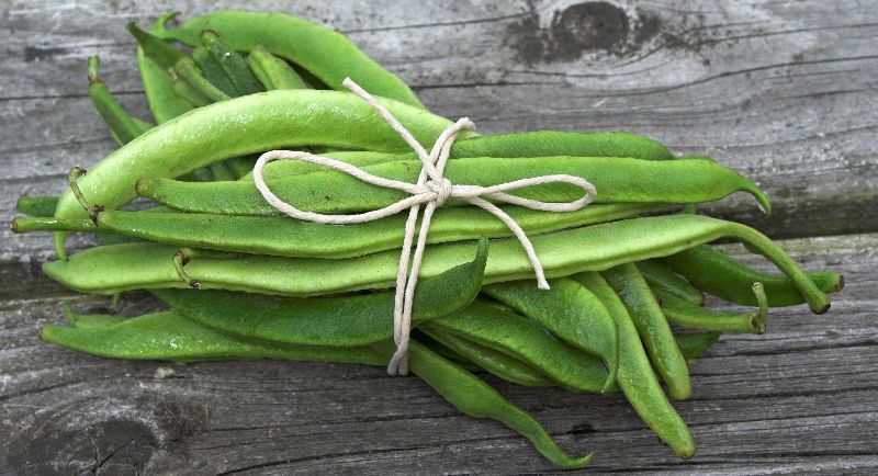 Fresh Runner Beans, Size : 9 To 10 Inch Long