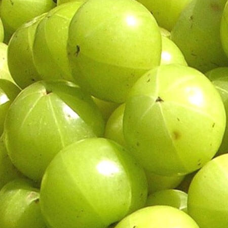 Organic fresh green amla, for Cooking, Packaging Size : 25kg