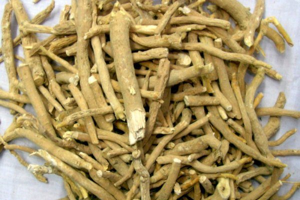 Ashwagandha Withania Somnifera, for Herbal Products, Packaging Type : Container