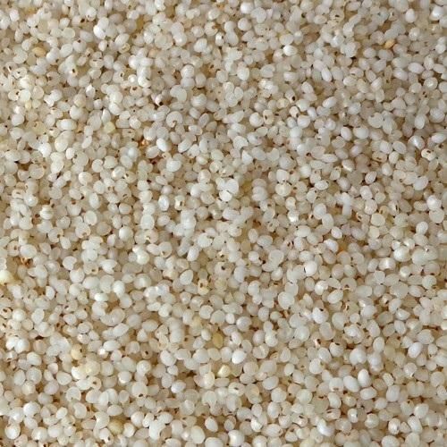 Fine Processed Natural Barnyard Millet, For Cooking, Feature : Gluten Free