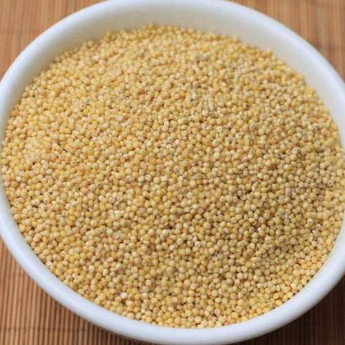Fine Processed Natural Kodo Millet, for Cooking