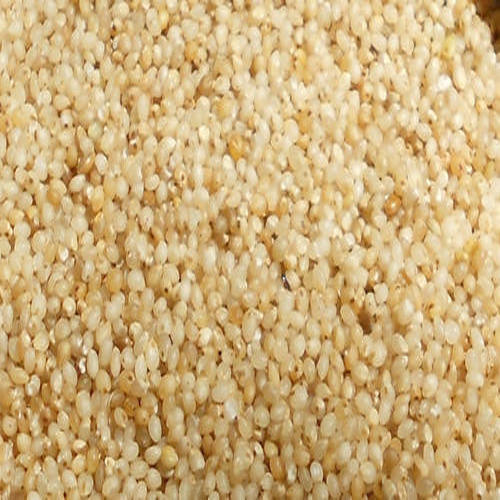 Natural Samai Millet, For Cattle Feed, Cooking, Feature : Non Harmful