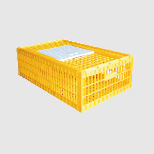 Rectangle Plastic Bird Transportation Cage, Color : Yellow White