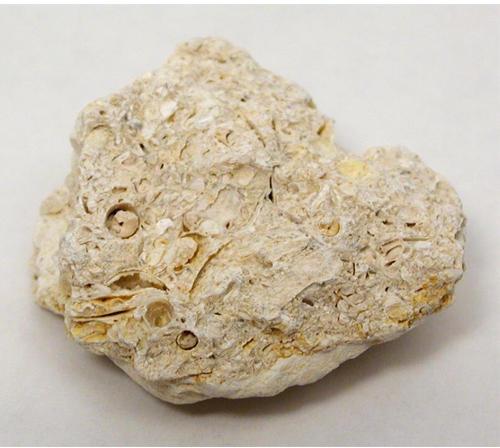 Brown Rock Limestone