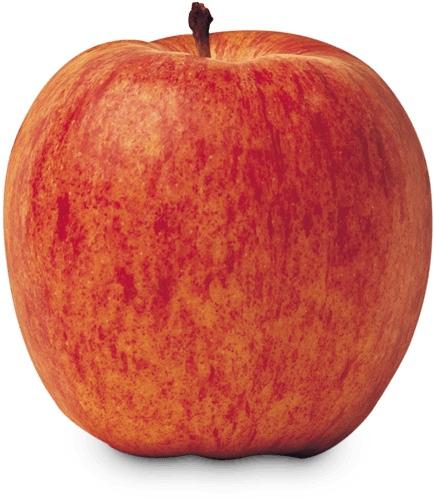 Organic Redlum Gala Apple