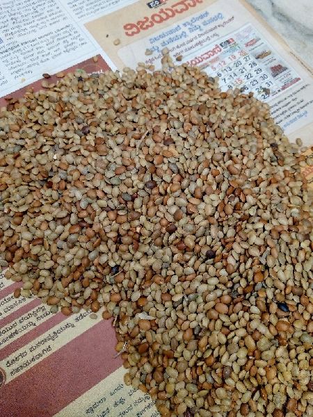 Natural Horse Gram, Grade Standard : Food Grade