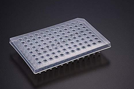 Square Borosilicate Glass PCR Plate