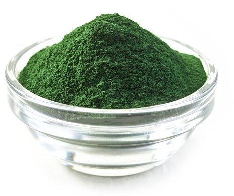 Spirulina Powder