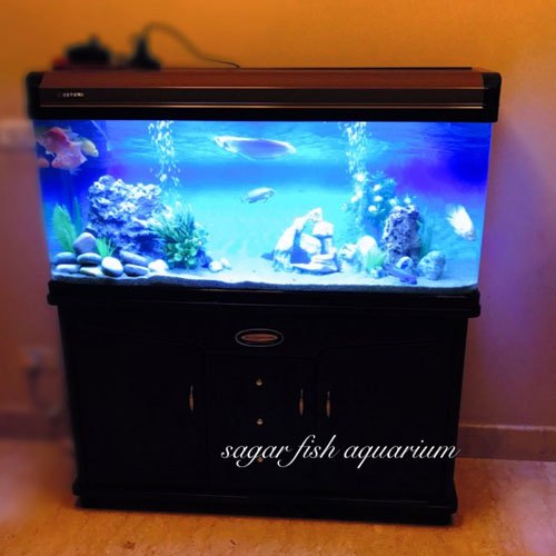 Freshwater Aquarium