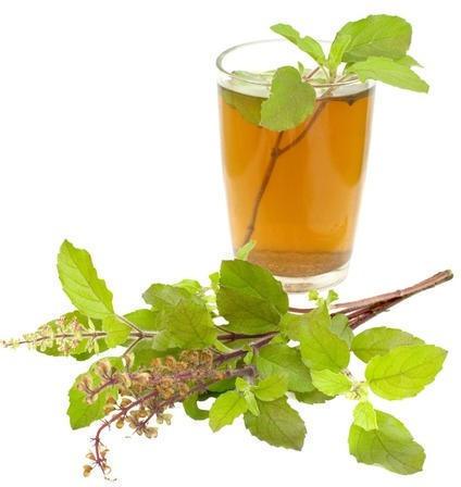 Tulsi juice, Shelf Life : 6-9 Months