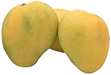 Organic Fresh Rajapuri Mango, Color : Yellow