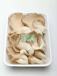 Organic Dry Oyester Mushroom, Packaging Type : Plastic Bag