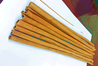 Cassia Sticks, Length : 30 – 45cm (80% min)