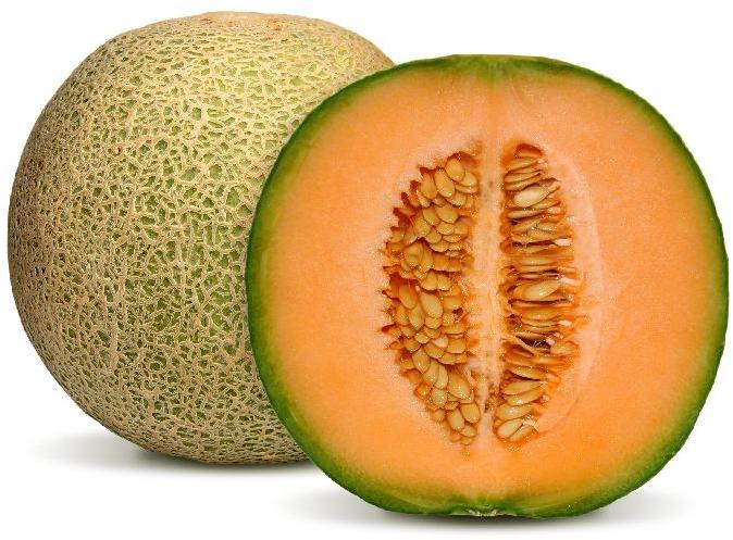 Fresh Muskmelon, Packaging Size : 10-20kg