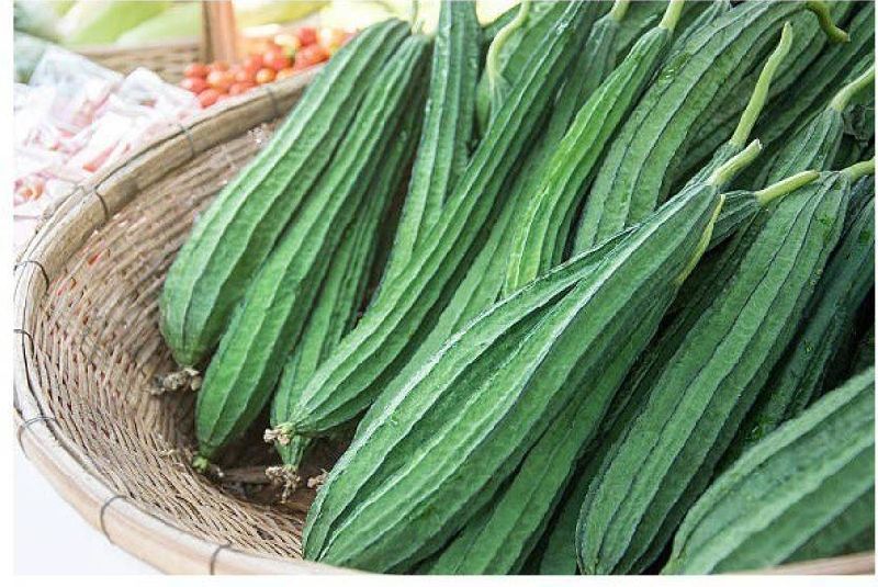 Organic Fresh Ridge Gourd, for Pesticide Free ( Raw Products), Packaging Type : 20-30kg