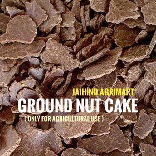 Decorticated Groundnut Oil Cake
