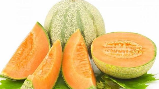 fresh muskmelon