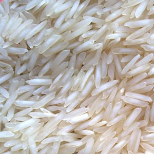 Organic Pusa Raw Basmati Rice, Variety : Long Grain, Medium Grain, Short Grain