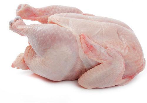 Frozen Whole Chicken, Packaging Type : Poly Bag