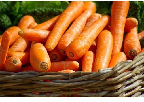 Fresh Carrot, Packaging Type : Carton