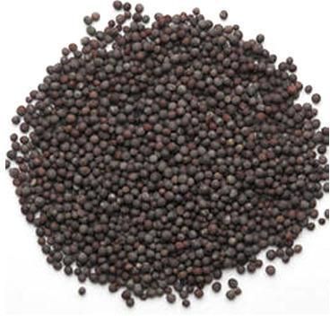 Organic Black Mustard Seeds, Certification : FSSAI Certified