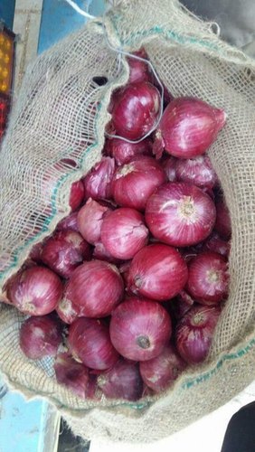 Natural fresh red onion, Packaging Size : 20kg, 50kg, 40kg