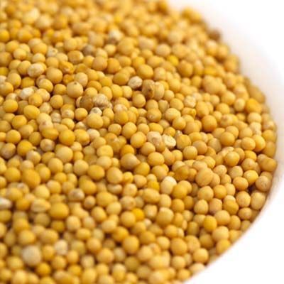 Organic Yellow Mustard Seeds