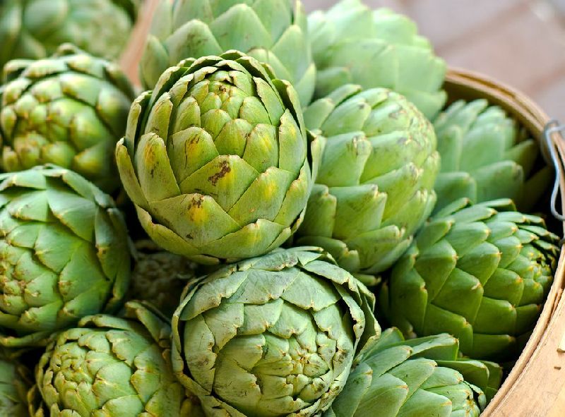 Fresh Artichoke