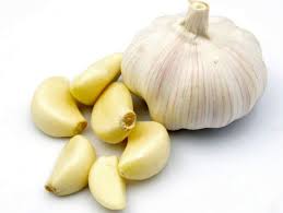 Fresh garlic