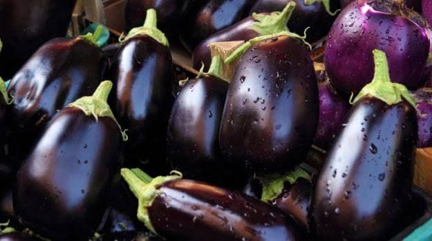 Organic Fresh Brinjal