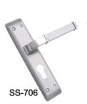SS 706 Mortice Handle