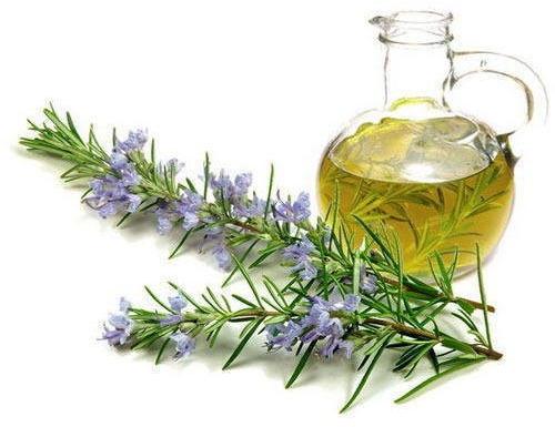 Rosemary Oil, for Cosmetics, Perfumery, Pharmaceuitcals, Feature : 100% Natural Herbal