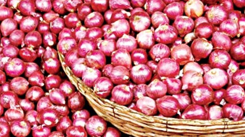 Organic Fresh Red Small Onion, for Human Consumption, Packaging Type : Net Bag, Plastic Bag