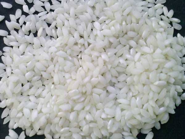 MAFIA Soft Common Sakarchini Rice, for Cooking, Shelf Life : 2years