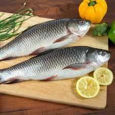 Fresh Rohu Fish, For Household, Restaurants, Packaging Type : Thermocole Box