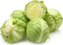 Fresh Cabbage, Shelf Life : 5-10days