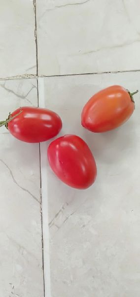 Fresh Hybrid Tomato, for Cooking, Packaging Type : Jute Bag, Net Bag, Plastic Crates