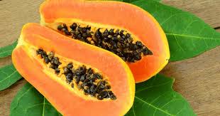 Common fresh papaya, Shelf Life : 1week