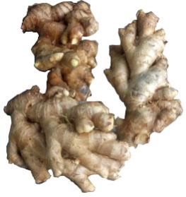 Mahima Washed Ginger