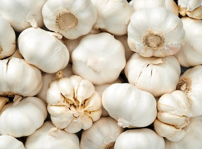 Fresh garlic, for Cooking