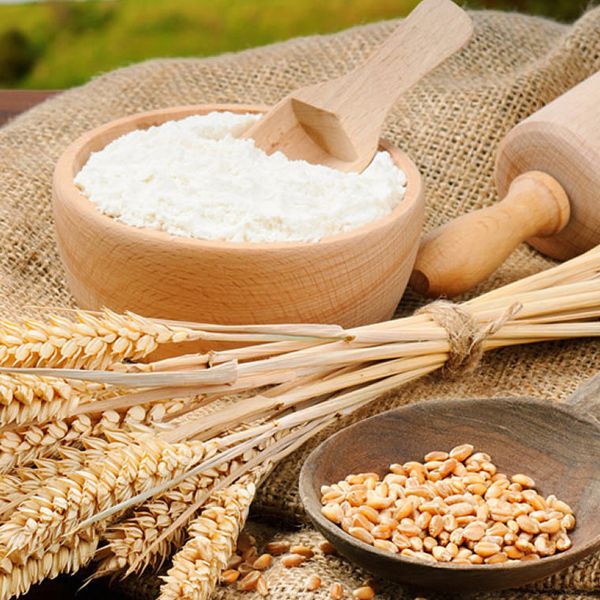 Organic wheat flour, for Cooking, Feature : Natural Test