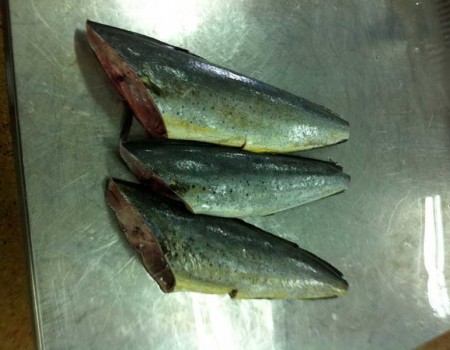 Frozen Headless Mahi Mahi Fish, for Cooking, Certification : FDA Certified