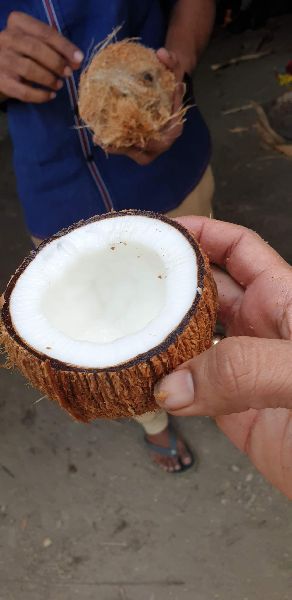 fresh coconut