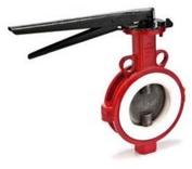 Cast Iron PTFE Seated Butterfly Valve