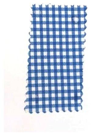 Blue And White Check Fabric