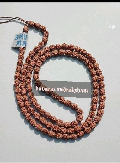 Natural Wood Beads 3 Mukhi Rudraksha Mala, for Religious, Feature : Easily Washable, Excellent Strength