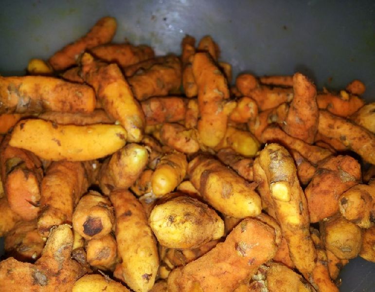 Organic Fresh Raw Turmeric Root, for Cosmetic Products, Herbal Products, Medicine, Feature : Long Shelf Life