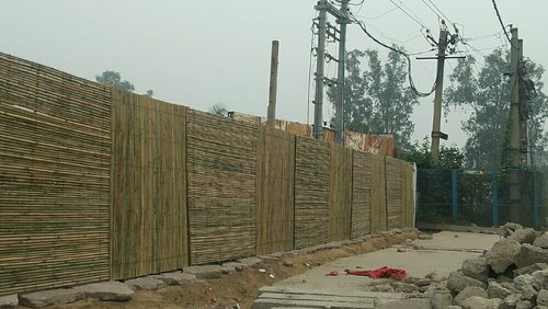 Bamboo fencing